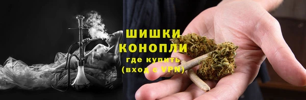 трава Горно-Алтайск