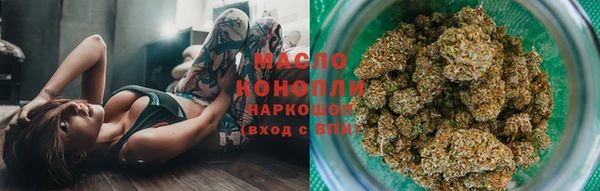 шишки Гусиноозёрск